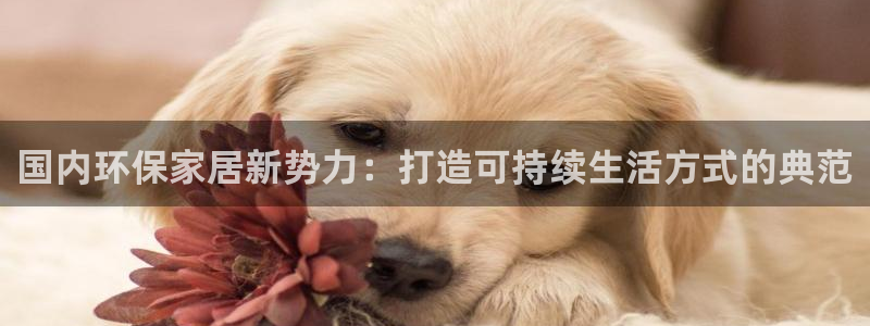 tpt钱包