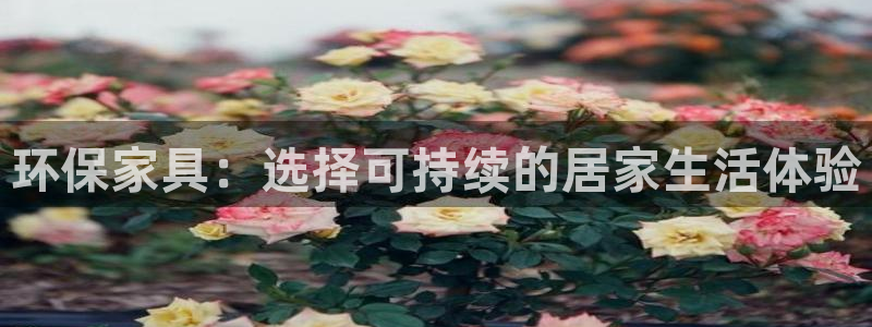 tp官网钱包
