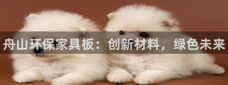 tptp下载官方安装-tptp下载官方版