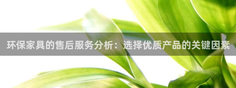 tp官方下载安卓最新版本