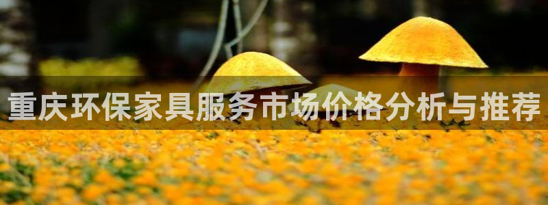 tp钱包安卓官方版