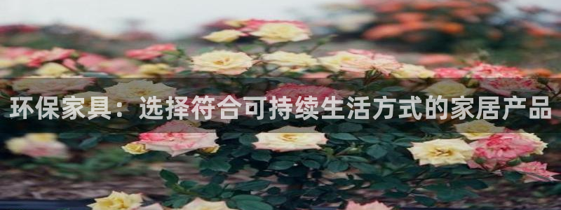 tp钱包id在哪里