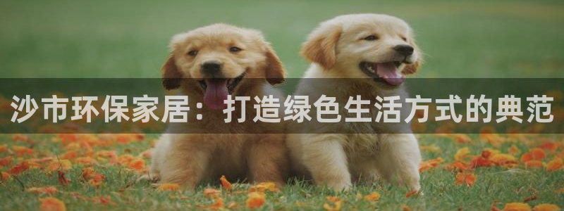 tp钱包 dapp