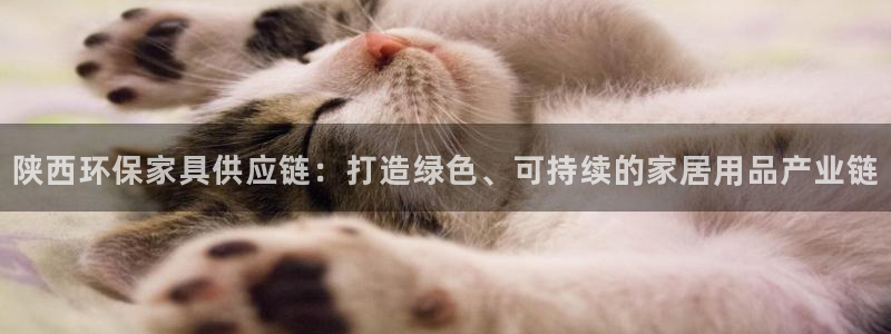 tp-l1nk下载