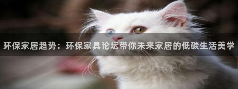 tptp下载安装正板