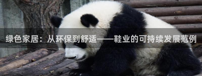 Tp钱包u换TRX步骤详解