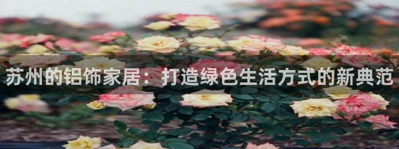 tp观察钱包有什么用
