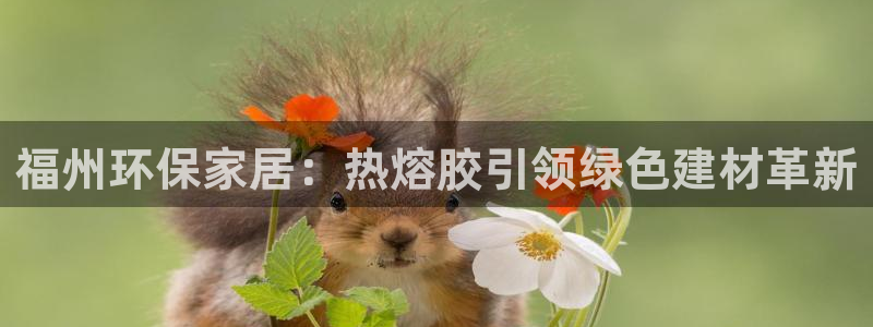 tptp官方下载安装