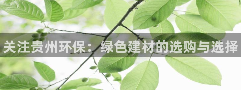 tp钱包安装不了
