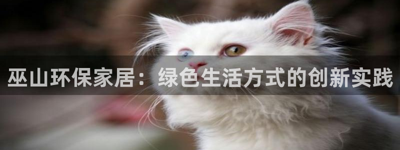 tp官方下载地址