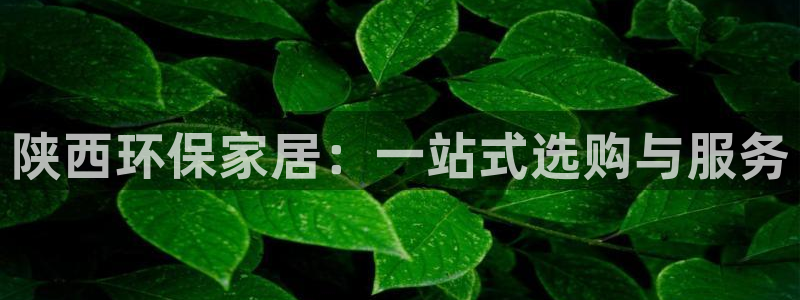 tp钱包ie节点如何获取