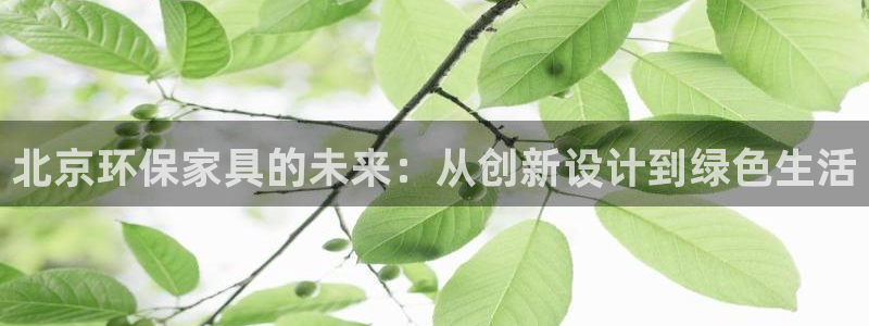 TP钱包Pol网络的钱怎么转到波场网络