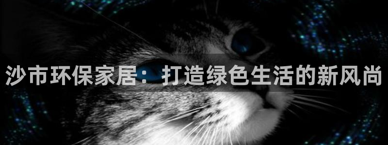 TP钱包dapp链接打不开：沙市环保家居：打造绿色生活的新风