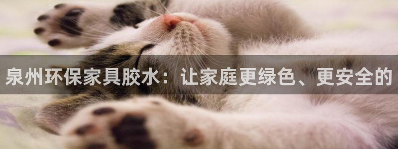 tp钱包 百度网盘：泉州环保家具胶水：让家庭更绿色、更安全的