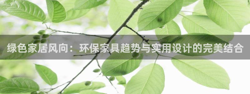 tp观察钱包的资产怎么转出