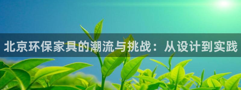 ios如何下载tp钱包：北京环保家具的潮流与挑战：从设计到实
