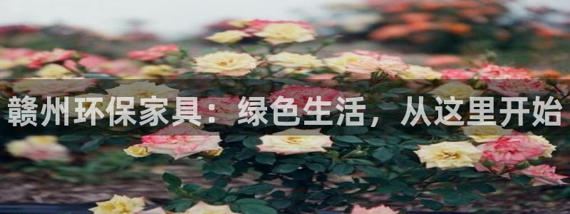 tp观察钱包怎么转账：赣州环保家具：绿色生活，从这里开始