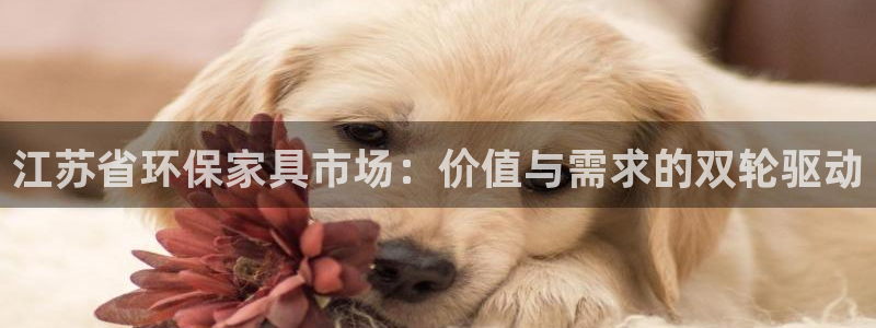 tp钱包usdt换ht：江苏省环保家具市场：价值与需求的双轮