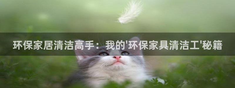 tptp官方下载安装教程：环保家居清洁高手：我的\'环保家具