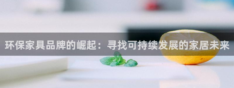tp钱包usdt兑换bnb矿工费不足怎么充值：环保家具品牌的