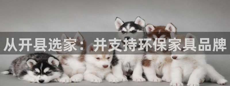 tp钱包 跨链：从开县选家：并支持环保家具品牌