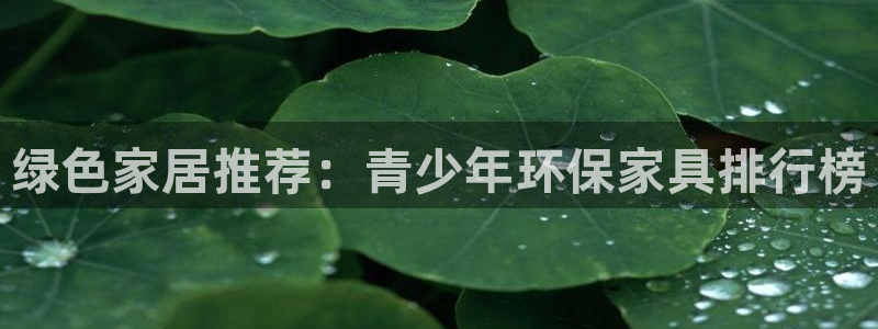 TP钱包Gas费：绿色家居推荐：青少年环保家具排行榜