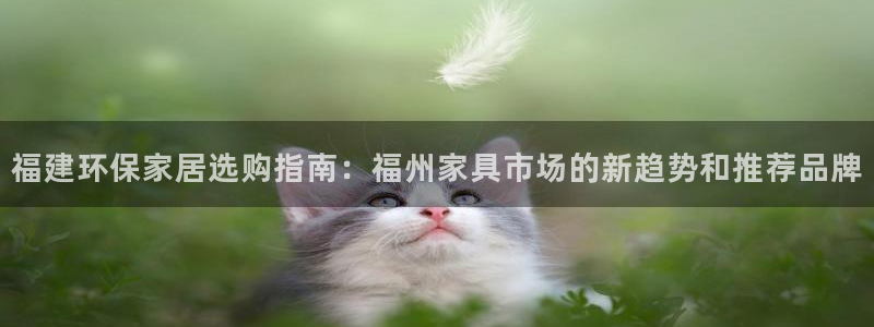 tpay钱包怎么下载：福建环保家居选购指南：福州家具市场的新