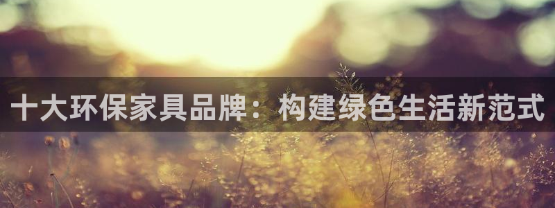 tp钱包bch：十大环保家具品牌：构建绿色生活新范式