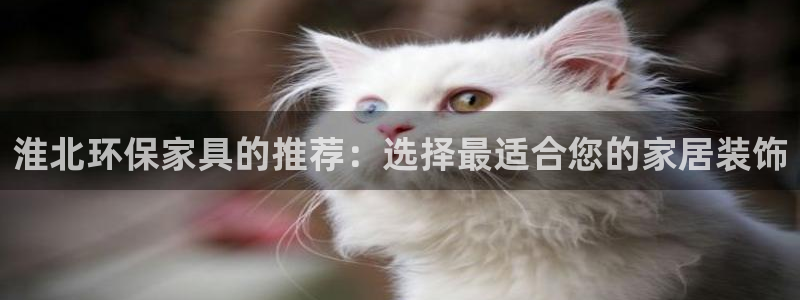 tpg mobile app：淮北环保家具的推荐：选择最适合