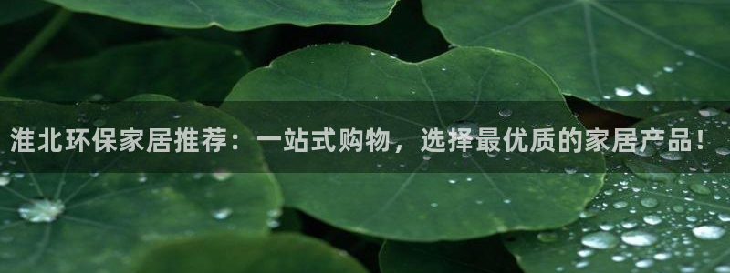 tp官方网