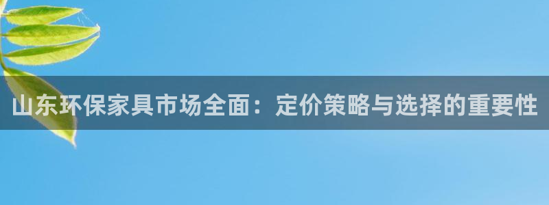 tp钱包trx网络费贵：山东环保家具市场全面：定价策略与选择