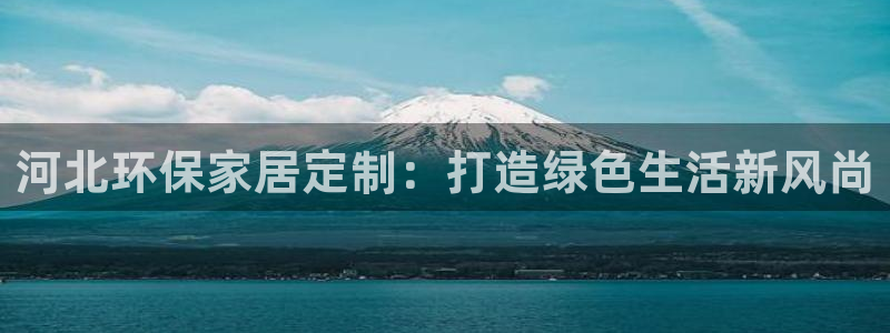 TP冷钱包下载后,为何打不开：河北环保家居定制：打造绿色生活