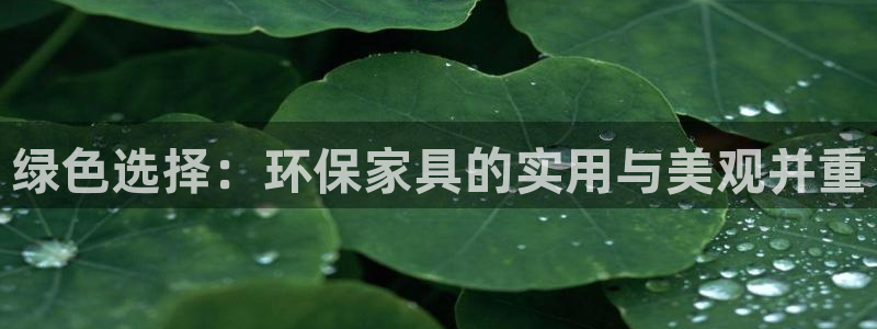 tp钱包薄饼交易所