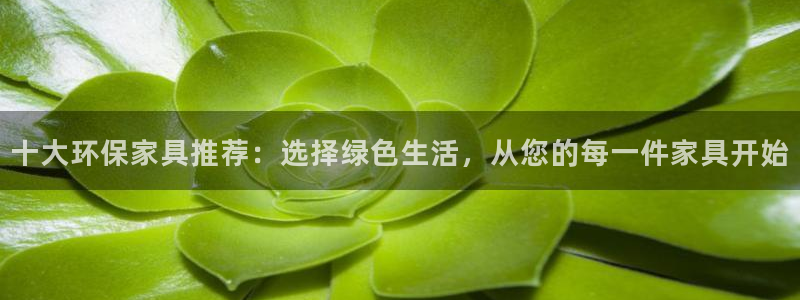 TP钱包安卓app