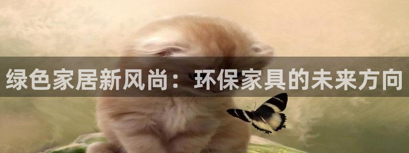 tp官方下载地址：绿色家居新风尚：环保家具的未来方向