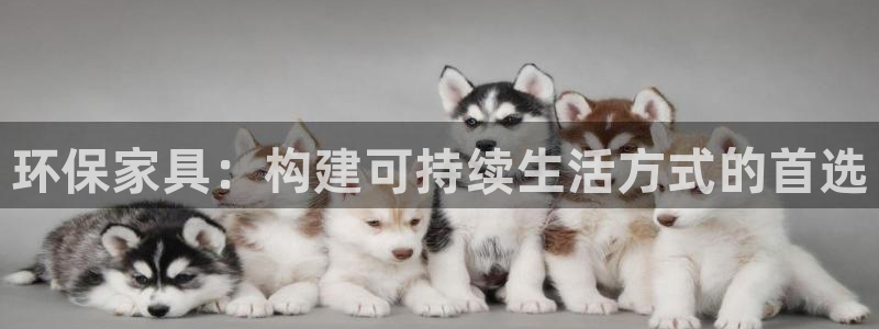 TP钱包app免费下载
