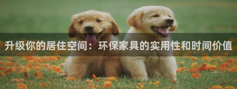 TokenPocketPro钱包：升级你的居住空间：环保家具