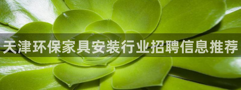 tp钱包百科