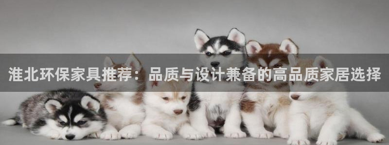 tp钱包 教程