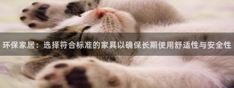 tp钱包DAPP官网下载：环保家居：选择符合标准的家具以确保