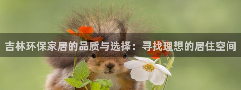 TP钱包noehx是真的吗：吉林环保家居的品质与选择：寻找理