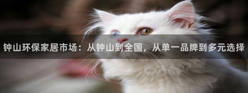 tpc区块链赚钱快吗