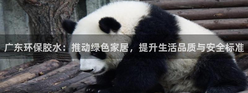 tptp下载入口：广东环保胶水：推动绿色家居，提升生活品质与